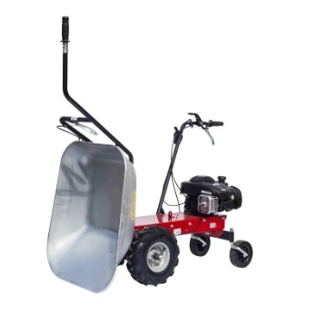 Vendita online Motocarriola Carry